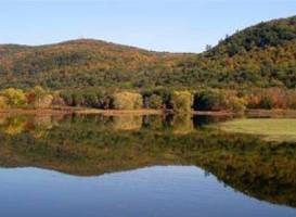 Wood's Pond
