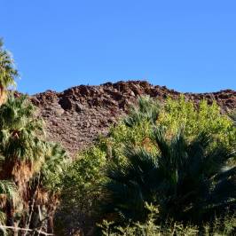 Agua Caliente Indian Canyons