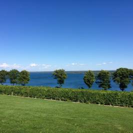 Cayuga Lake