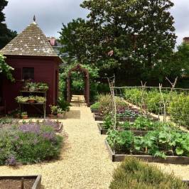 William Paca Garden