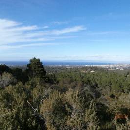 Jacks Peak County Park
