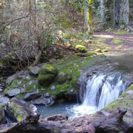 Bothe-Napa State Park