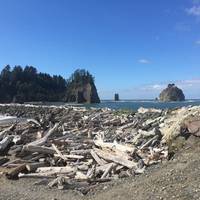 La Push Beach