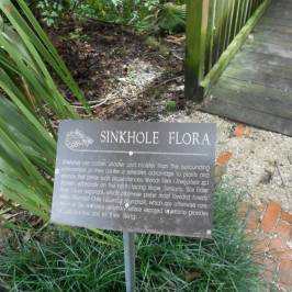 Kanapaha Botanical Gardens