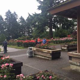 International Rose Test Garden