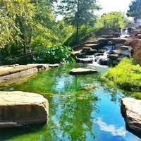 Congaree Vista