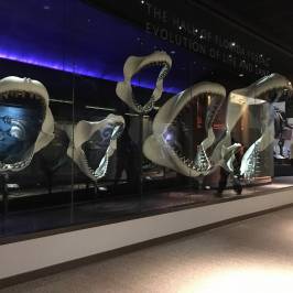 Florida Museum of Natural History