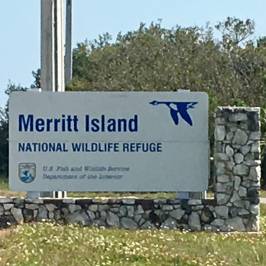 Canaveral National Seashore