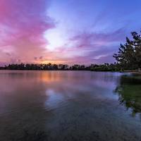 Tropical Park
