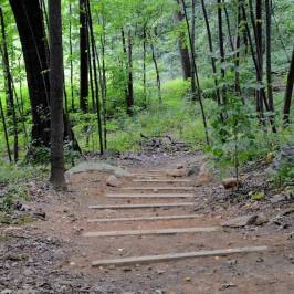 Van Cortlandt Park