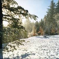 Hoyt Arboretum