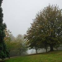Council Crest Park