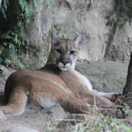 Oregon Zoo