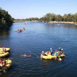 American River Bicycle Trail