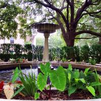 Hampton-Preston Mansion and Gardens