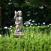 Robert Mills House & Gardens