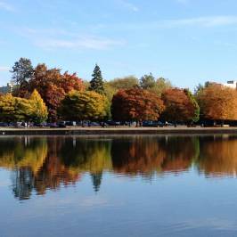 Green Lake Park