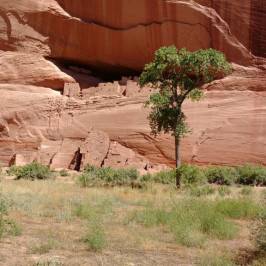 White House Ruins Trail