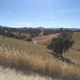 Henry W. Coe State Park
