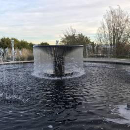Artesa Vineyards & Winery