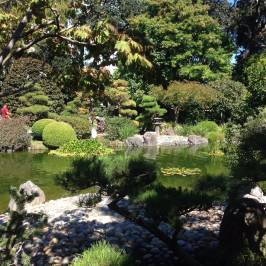 The San Mateo Japanese Garden