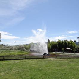 Old Faithful Geyser of California