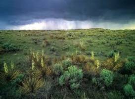 Comanche National Grassland