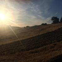 Rancho San Antonio County Park