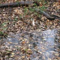 Indian Creek Greenway