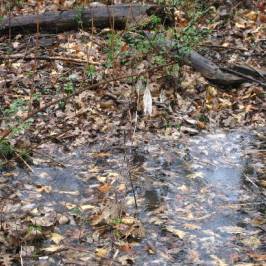 Indian Creek Greenway