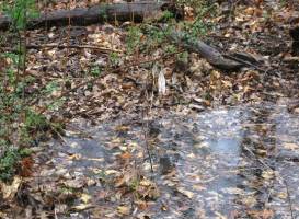 Indian Creek Greenway