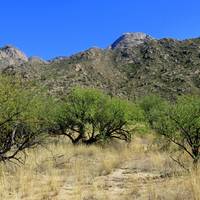 Catalina State Park