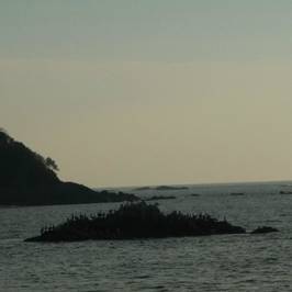 Manzanillo Bay