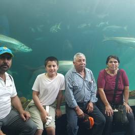 Aquarium of Veracruz