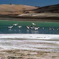 La Laguna del Negro