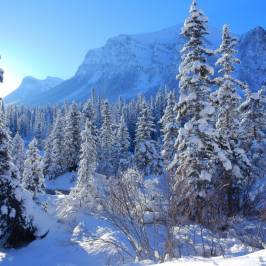 Lake Louise