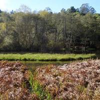 Tilden Regional Park
