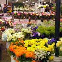 Flower Market