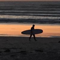 Asilomar State Beach