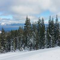 Alpine Meadows