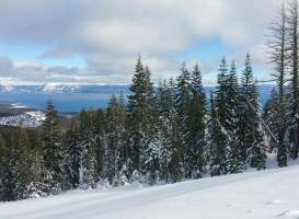 Alpine Meadows