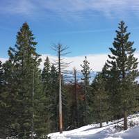 Tahoe Cross Country