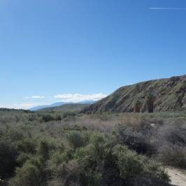 Coachella Valley Preserve