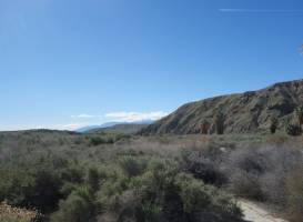 Coachella Valley Preserve