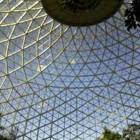 Mitchell Park Horticultural Conservatory (The Domes)