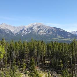 Canmore Nordic Centre Provincial Park