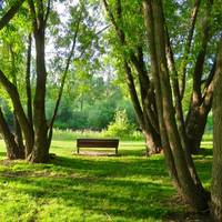 Confederation Park