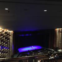Sony Centre for the Performing Arts