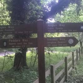 Peddar's Way