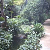 Историко-ботанический сад 